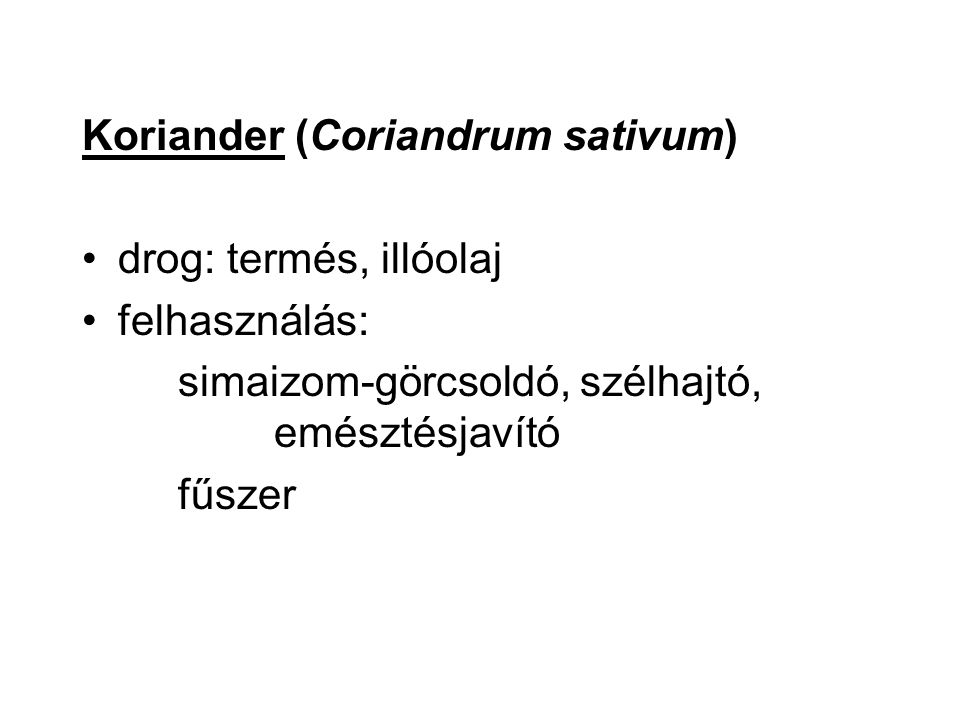 Koriander (Coriandrum sativum)