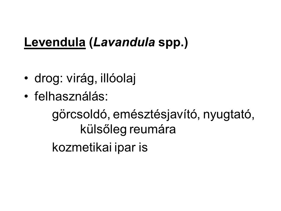 Levendula (Lavandula spp.)