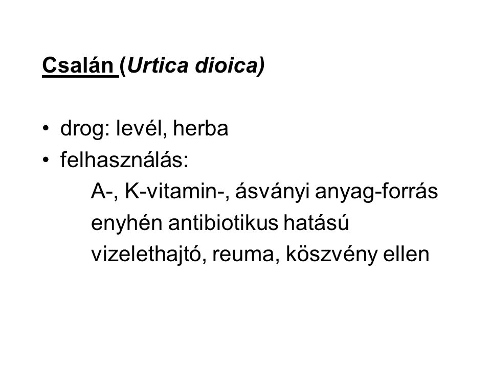 Csalán (Urtica dioica)