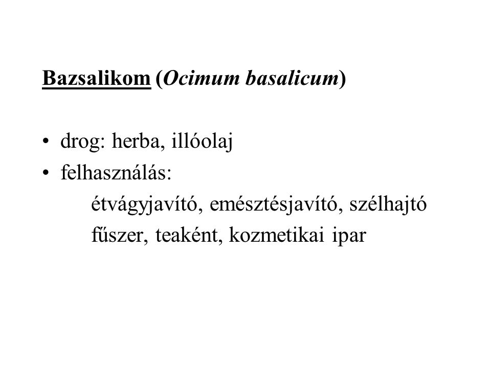 Bazsalikom (Ocimum basalicum)