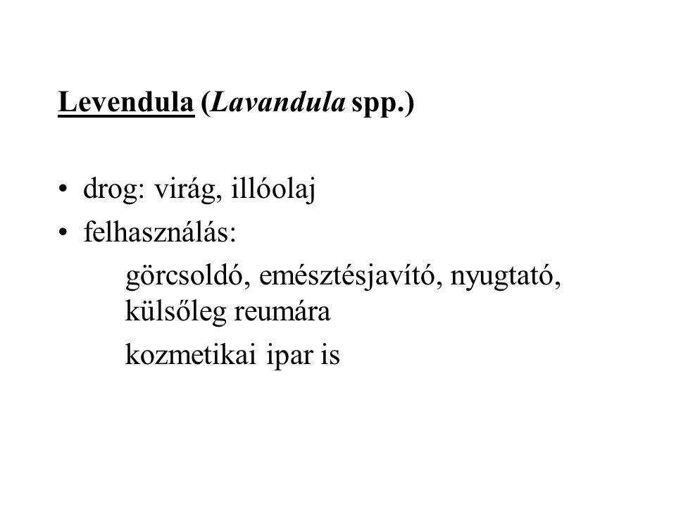 Levendula (Lavandula spp.)