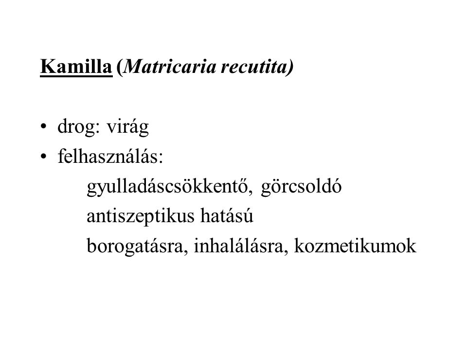 Kamilla (Matricaria recutita)