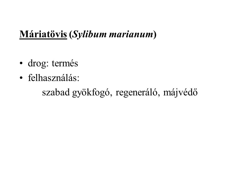 Máriatövis (Sylibum marianum)