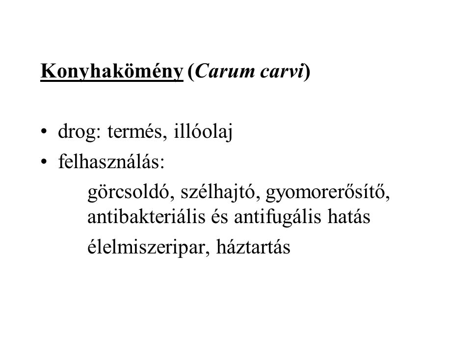 Konyhakömény (Carum carvi)