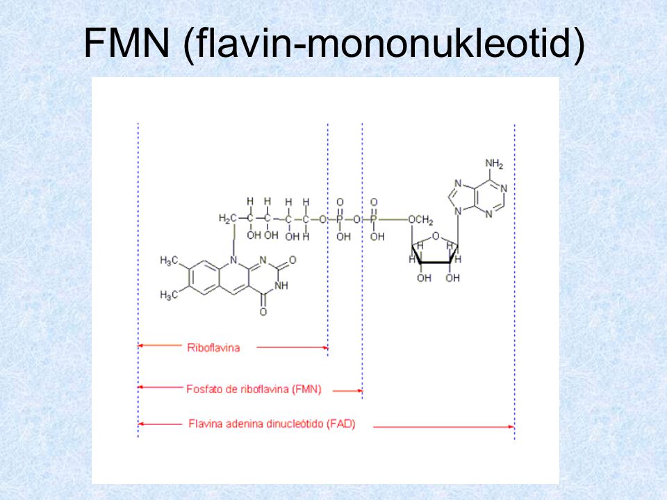 FMN (flavin-mononukleotid)
