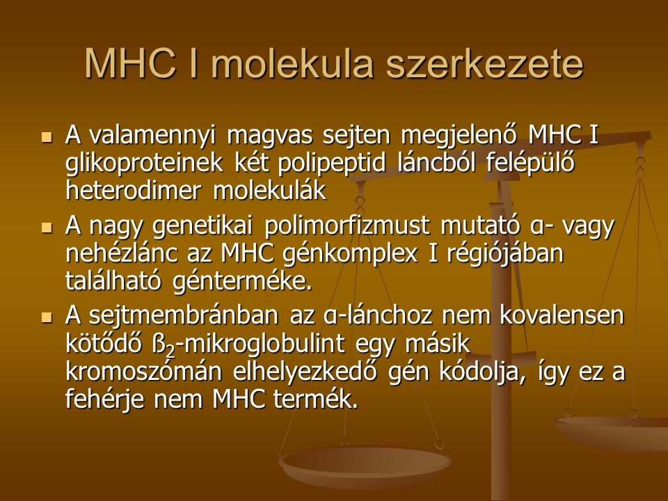 MHC I molekula szerkezete