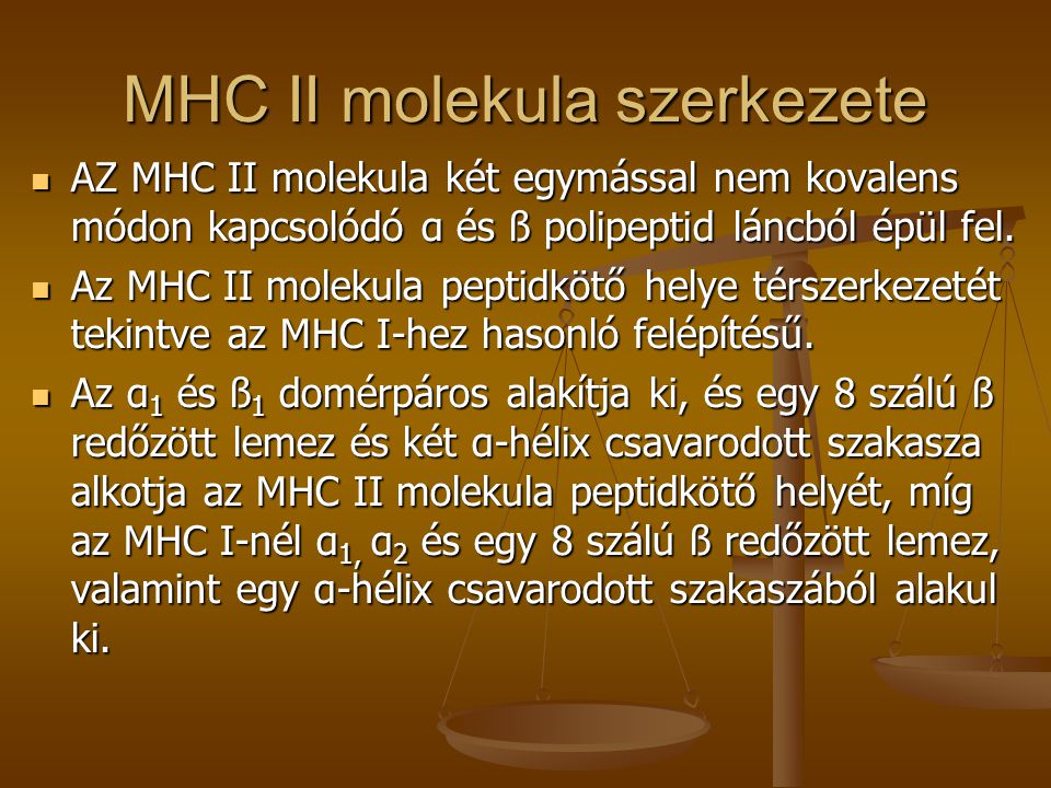 MHC II molekula szerkezete