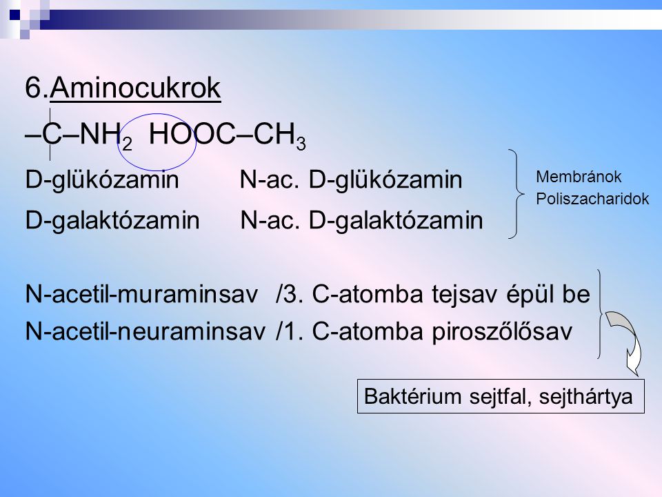 6.Aminocukrok –C–NH2 HOOC–CH3 D-glükózamin N-ac. D-glükózamin
