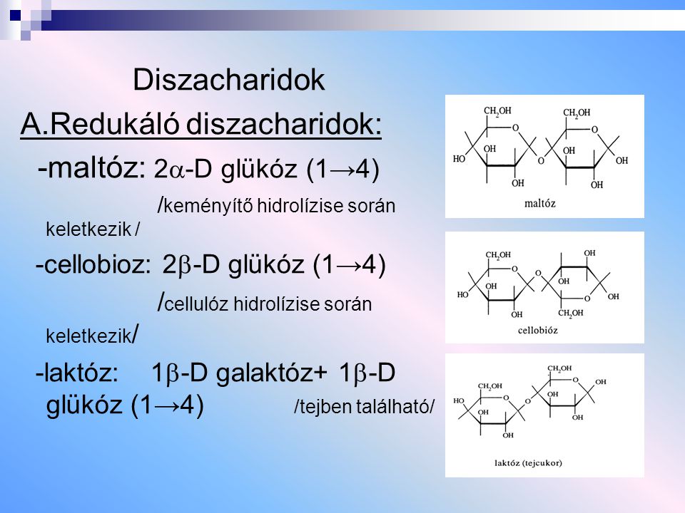 A.Redukáló diszacharidok: -maltóz: 2-D glükóz (1→4)