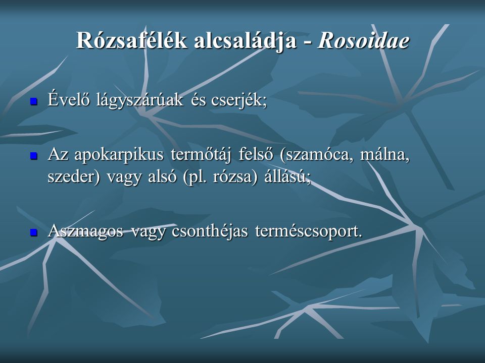 Rózsafélék alcsaládja - Rosoidae
