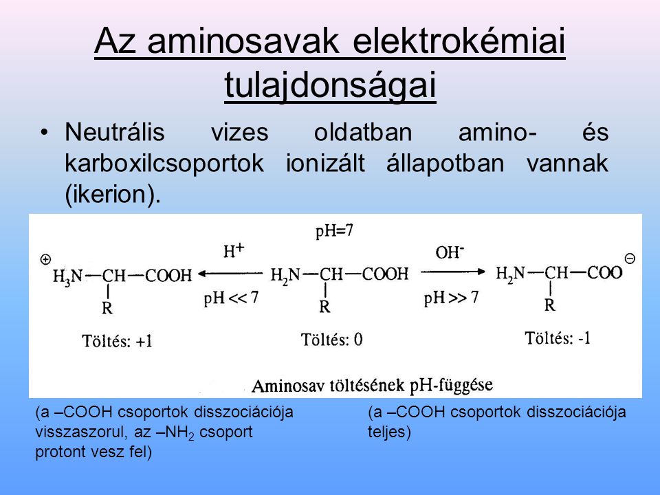 Az aminosavak elektrokémiai tulajdonságai