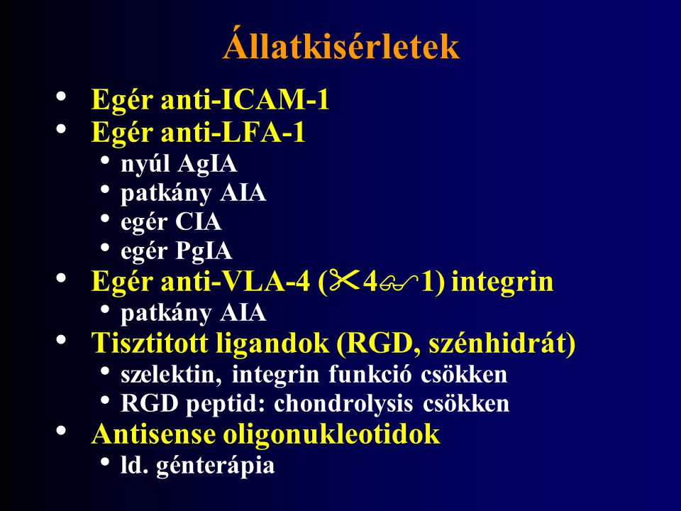 Állatkisérletek Egér anti-ICAM-1 Egér anti-LFA-1