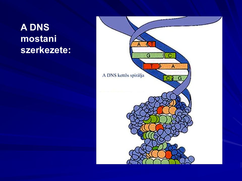 A DNS mostani szerkezete: