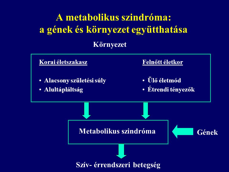 A metabolikus szindróma: a gének és környezet együtthatása