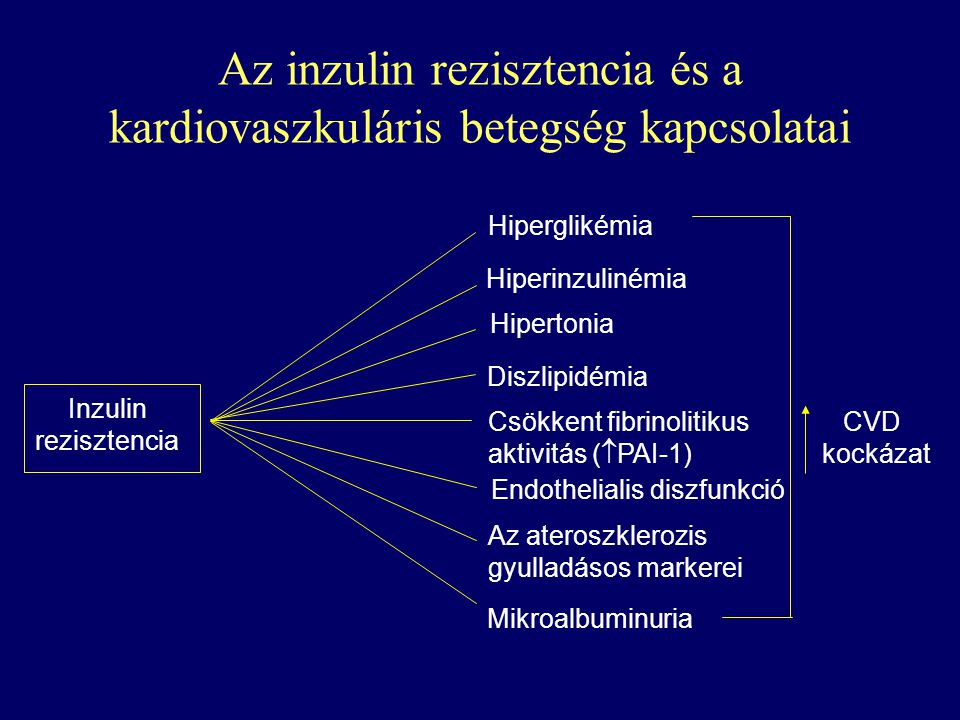 Az inzulin rezisztencia és a kardiovaszkuláris betegség kapcsolatai
