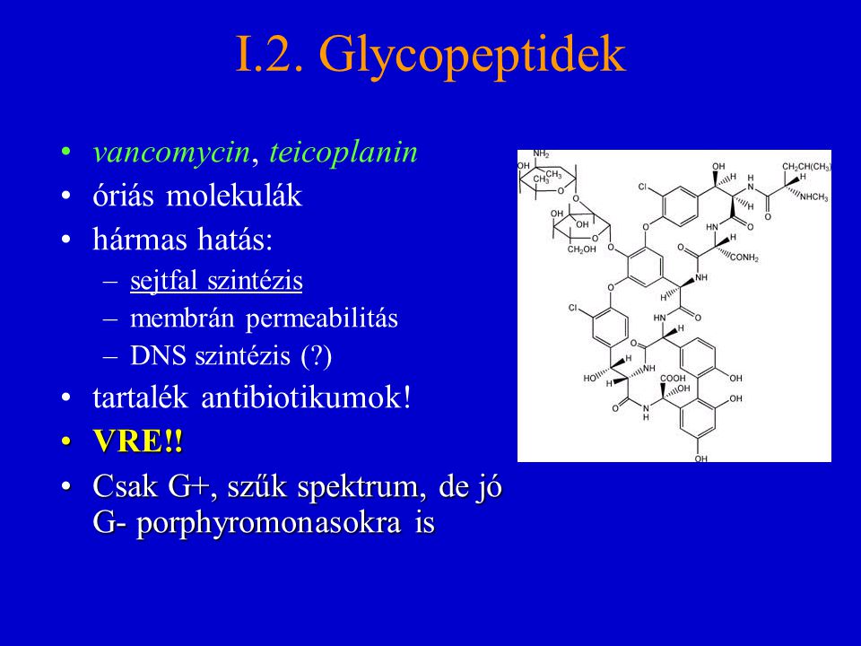 I.2. Glycopeptidek vancomycin, teicoplanin óriás molekulák