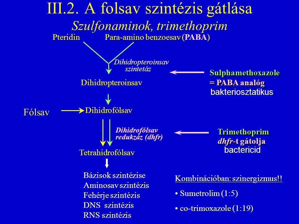 III.2. A folsav szintézis gátlása Szulfonaminok, trimethoprim