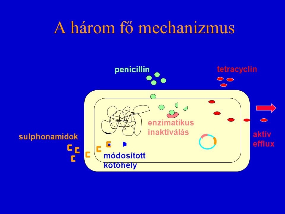 A három fő mechanizmus penicillin tetracyclin enzimatikus inaktiválás