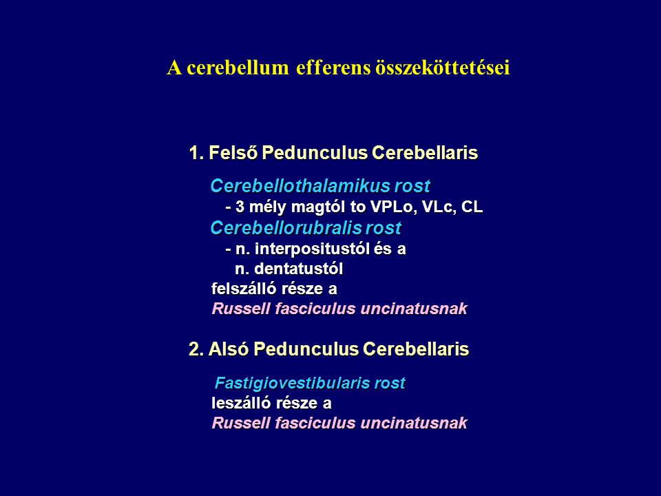 A cerebellum efferens összeköttetései