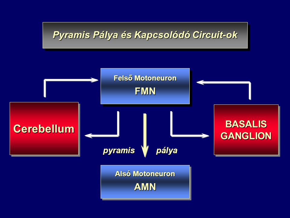Pyramis Pálya és Kapcsolódó Circuit-ok