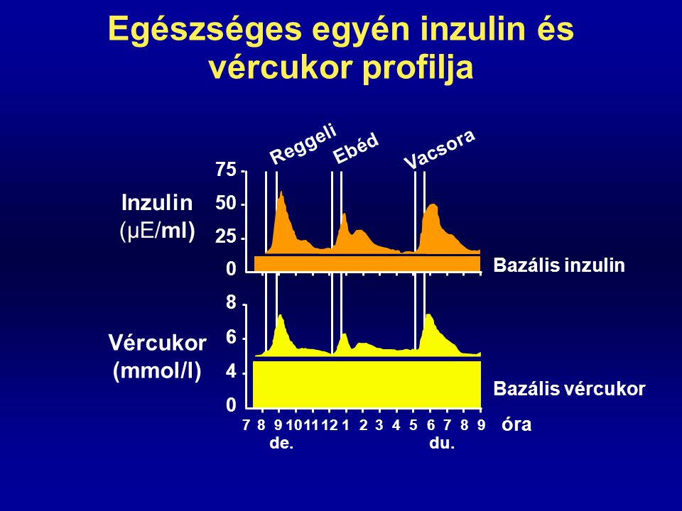 Egészséges egyén inzulin és vércukor profilja