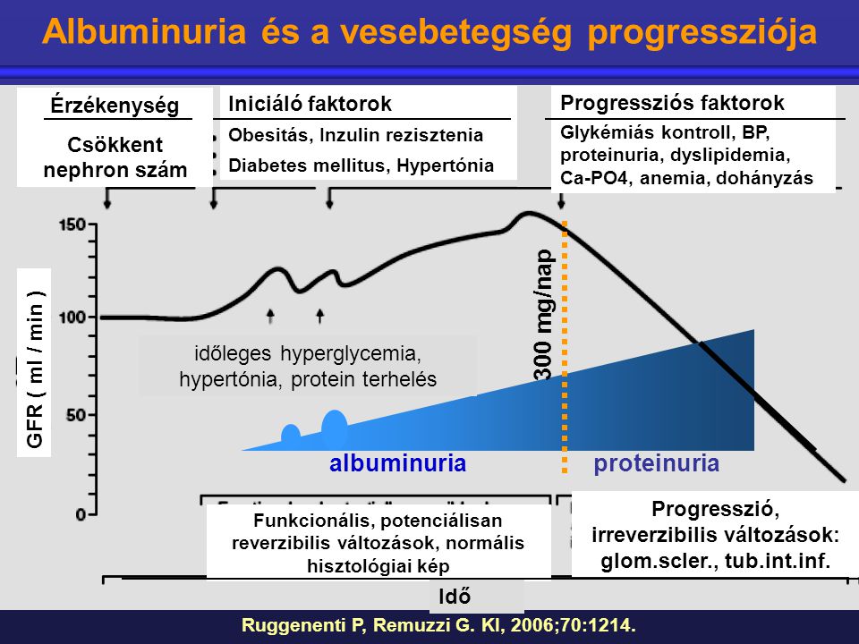 Albuminuria és a vesebetegség progressziója irreverzibilis változások: