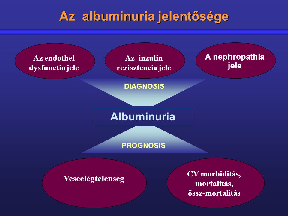 Az albuminuria jelentősége