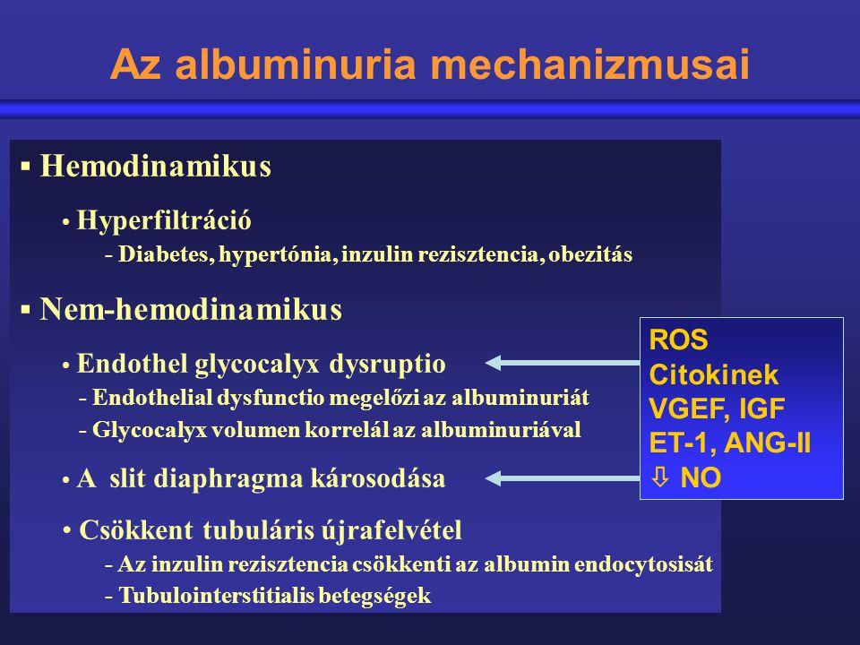 Az albuminuria mechanizmusai