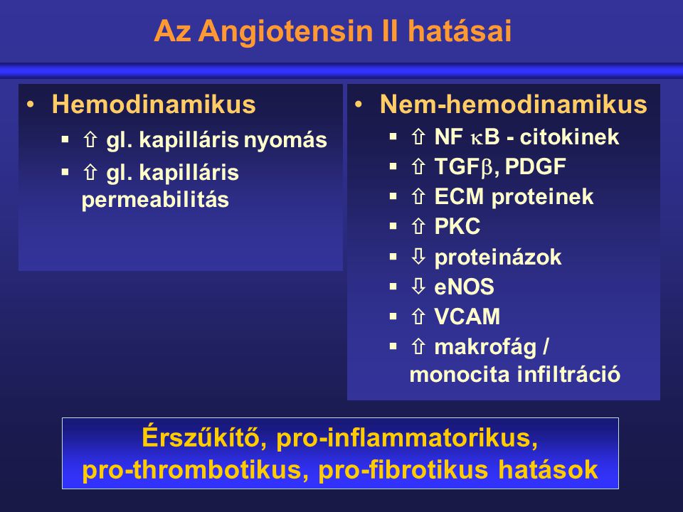 Az Angiotensin II hatásai