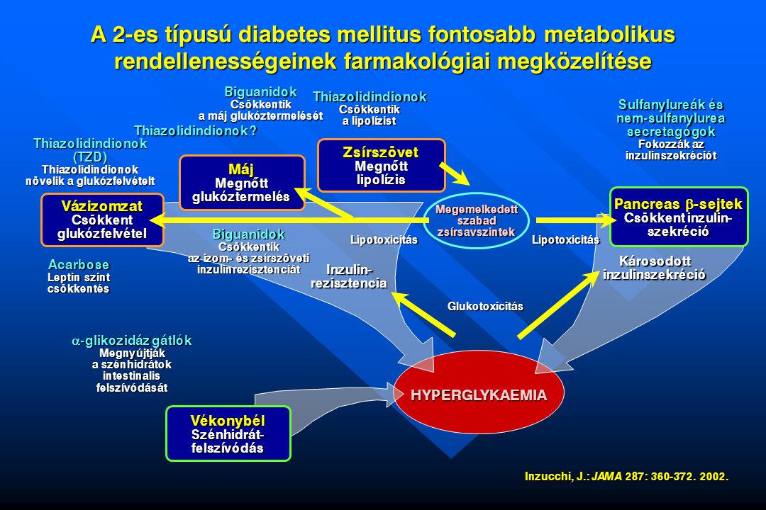 új fejlesztés a 2-es típusú diabetes mellitus)