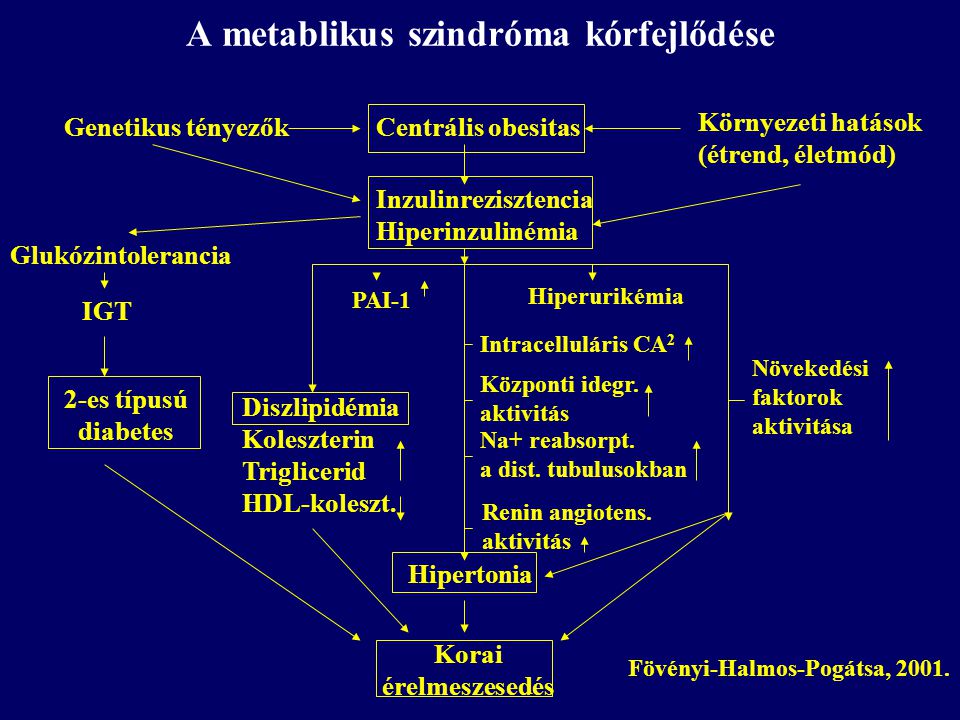 inzulinrezisztencia hiperinzulinémia)