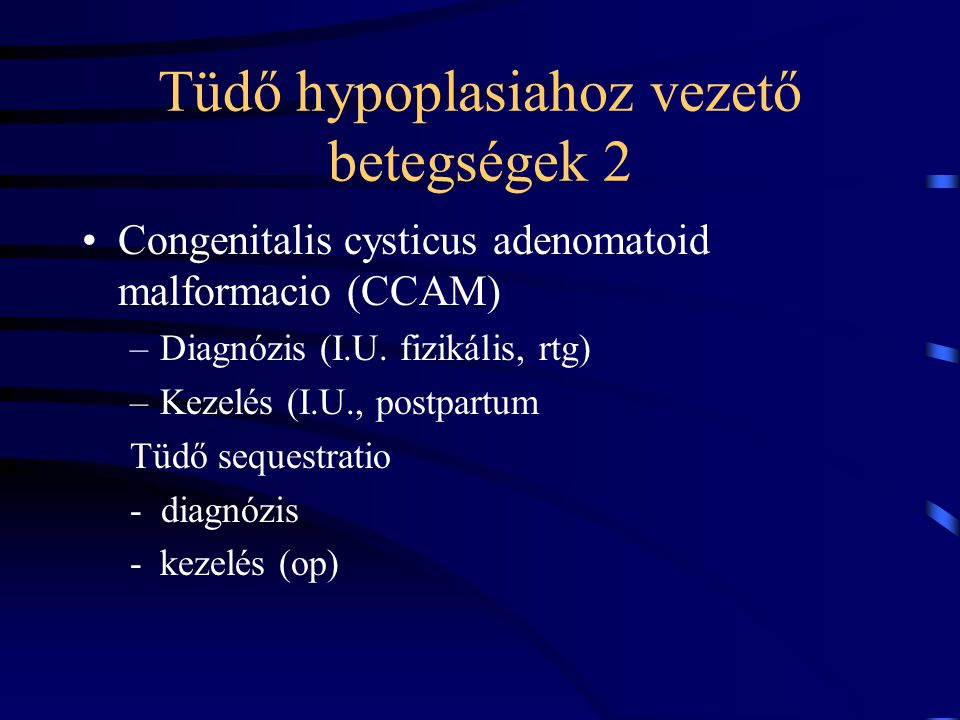 Tüdő hypoplasiahoz vezető betegségek 2