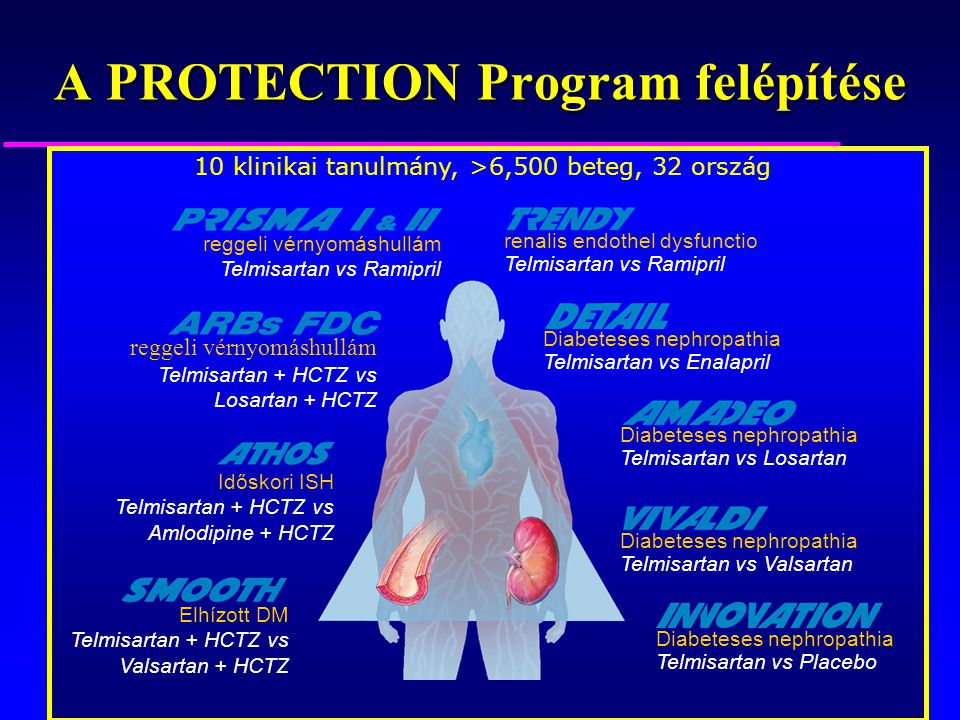 A PROTECTION Program felépítése