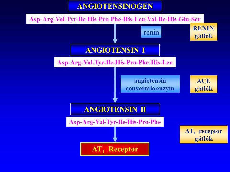 ANGIOTENSINOGEN ANGIOTENSIN I ANGIOTENSIN II AT1 Receptor