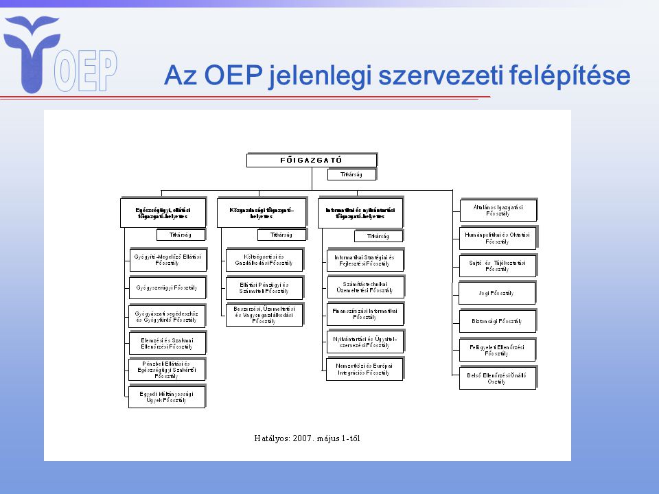 Az OEP jelenlegi szervezeti felépítése