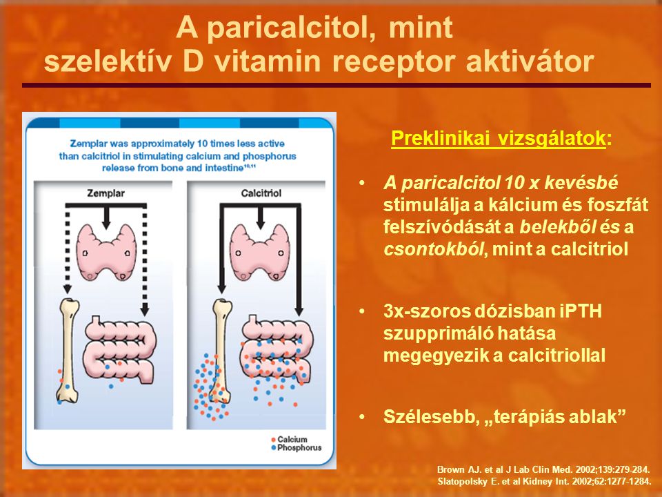 A paricalcitol, mint szelektív D vitamin receptor aktivátor