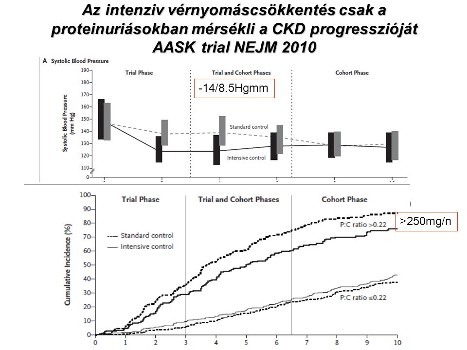 Az intenziv vérnyomáscsökkentés csak a proteinuriásokban mérsékli a CKD progresszióját AASK trial NEJM 2010