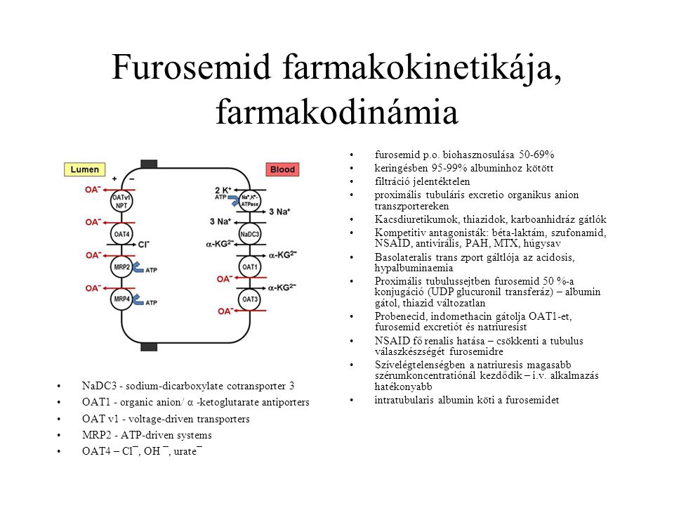 Furosemid farmakokinetikája, farmakodinámia