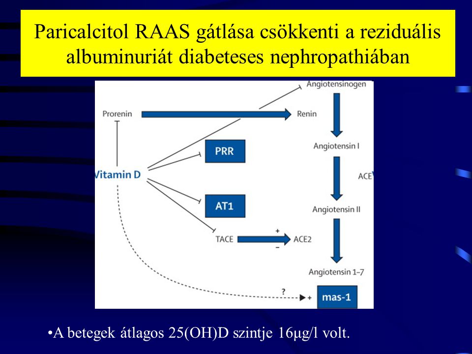 Paricalcitol RAAS gátlása csökkenti a reziduális albuminuriát diabeteses nephropathiában