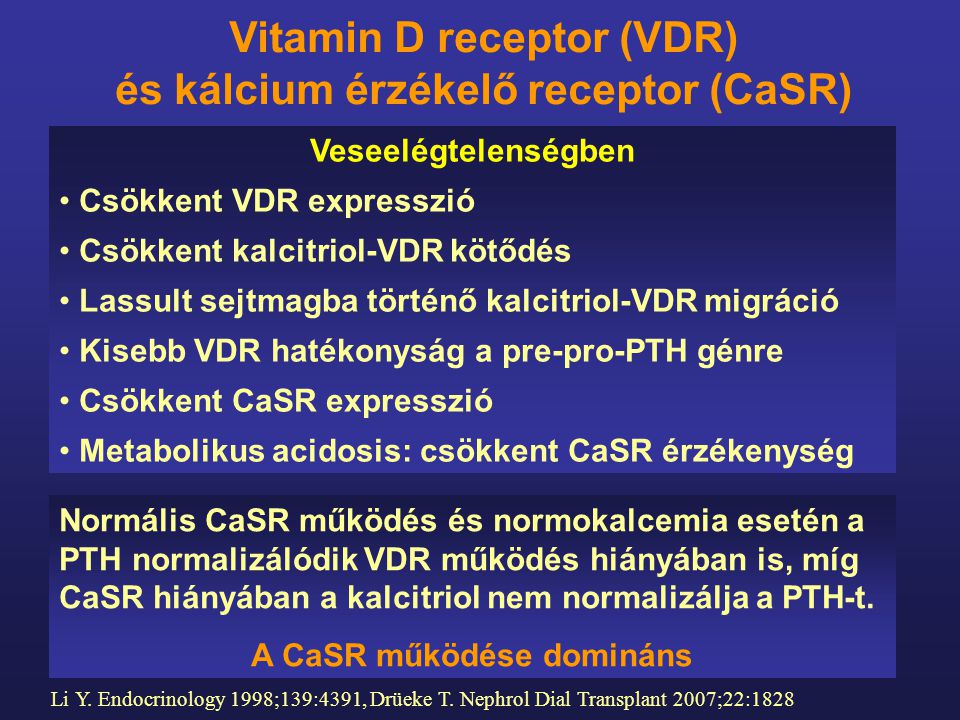 Vitamin D receptor (VDR) és kálcium érzékelő receptor (CaSR)