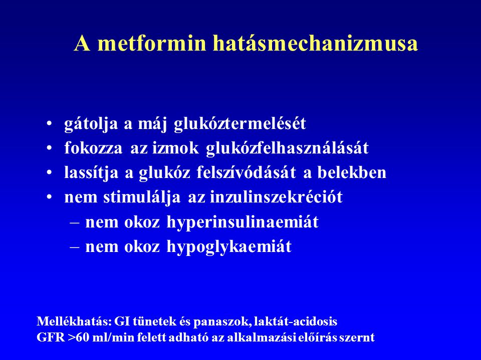 A metformin hatásmechanizmusa