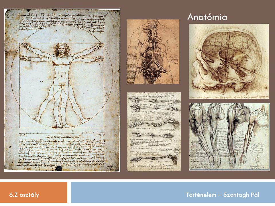 Anatómia 6.Z osztály Történelem – Szontagh Pál