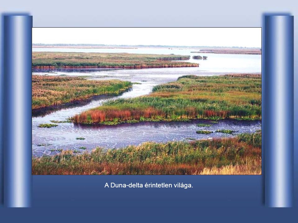 A Duna-delta érintetlen világa.