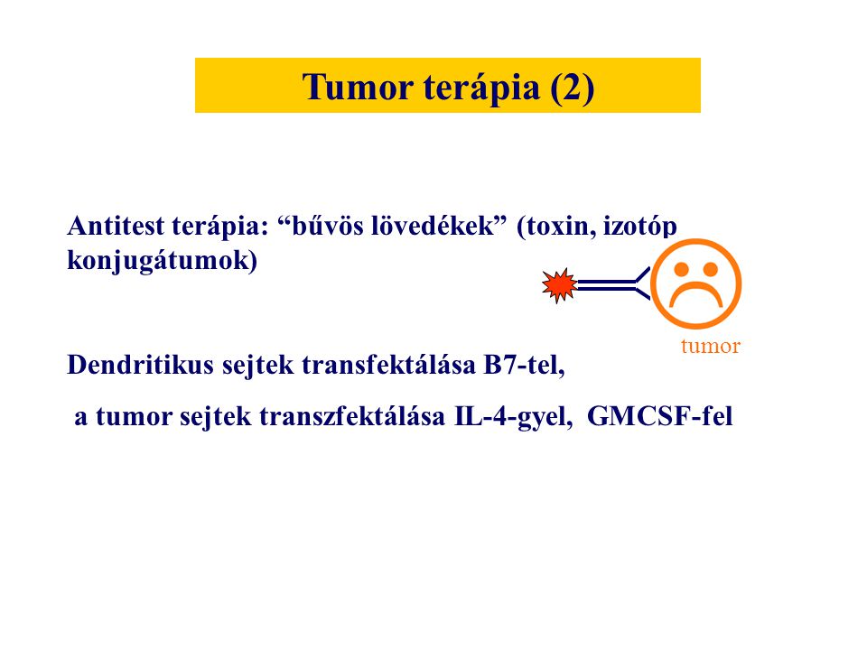 Tumor terápia (2) Antitest terápia: bűvös lövedékek (toxin, izotóp konjugátumok) Dendritikus sejtek transfektálása B7-tel,