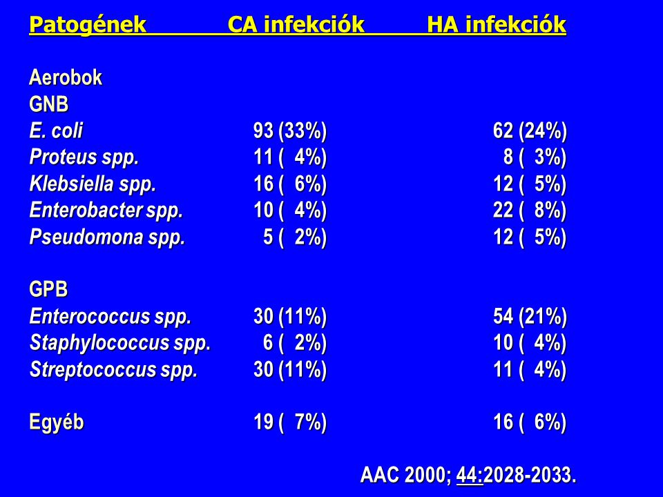 Patogének. CA infekciók. HA infekciók Aerobok GNB E. coli. 93 (33%)