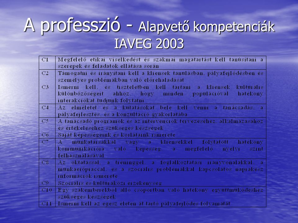 A professzió - Alapvető kompetenciák IAVEG 2003