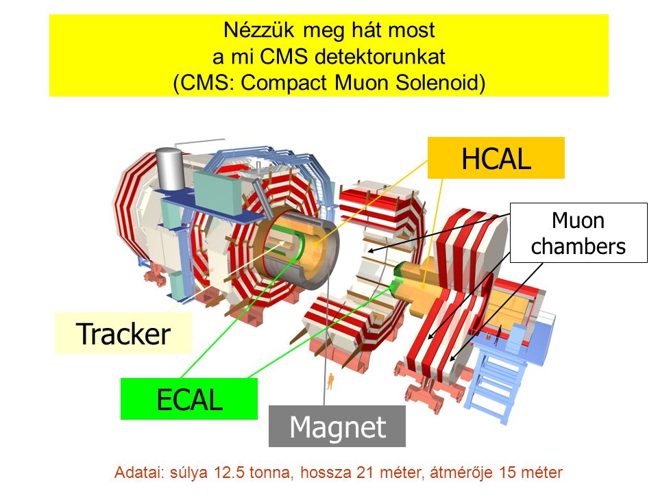 HCAL Tracker ECAL Magnet