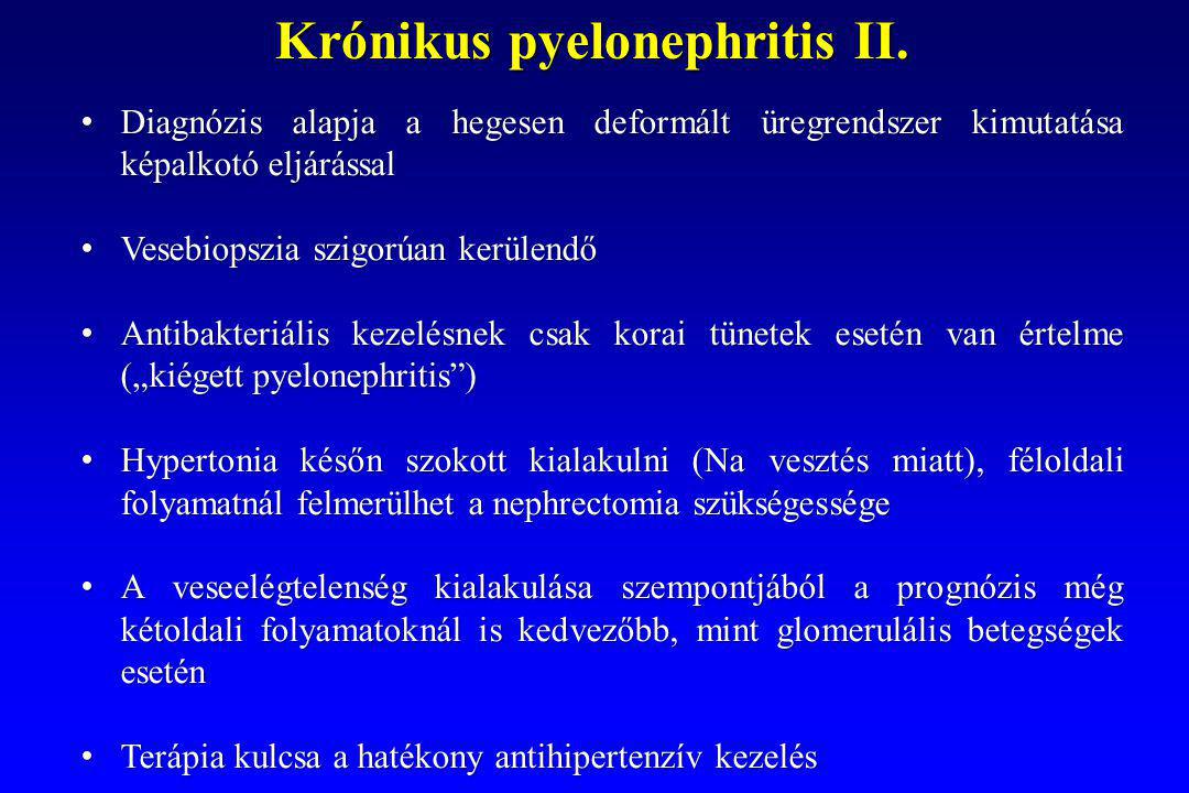 Krónikus pyelonephritis és prosztatitis kezelése