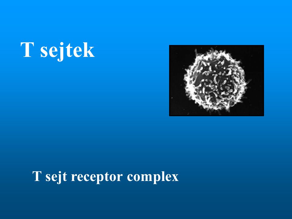 T sejtek T sejt receptor complex