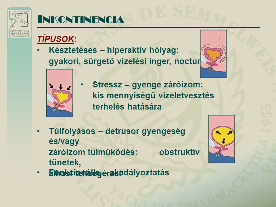 lingonberry levelek és prosztatitis prostatitis és alsó hátsó